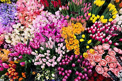 Xbox德国：《极限竞速》新作、《红霞岛》发售日将在直面会公开